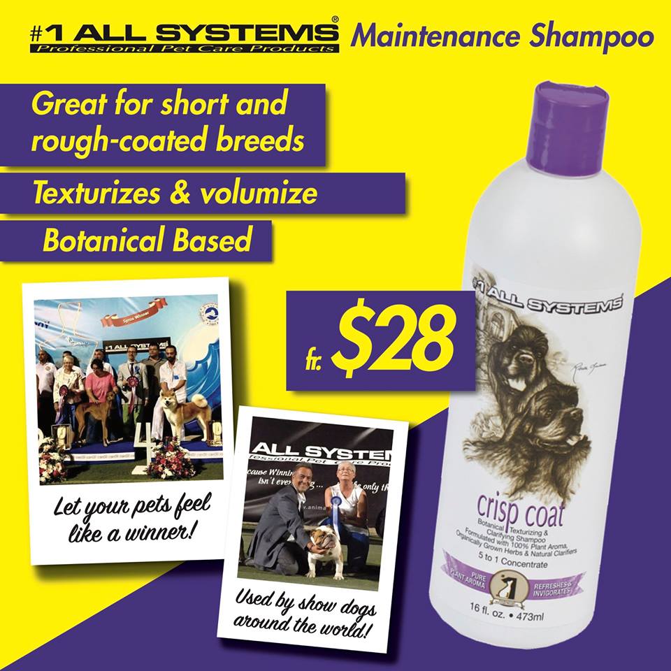 #1 Systems Crisp Coat Shampoo 16oz