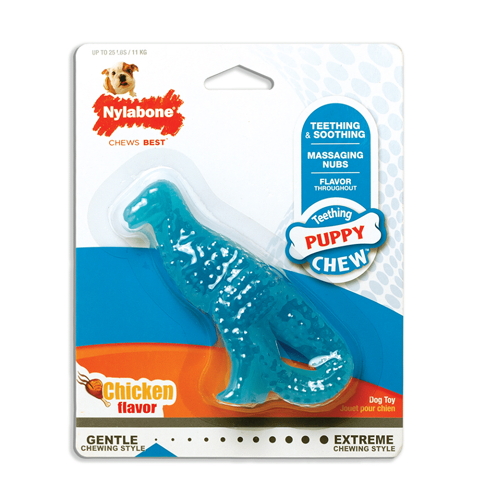 nylabone dental chew