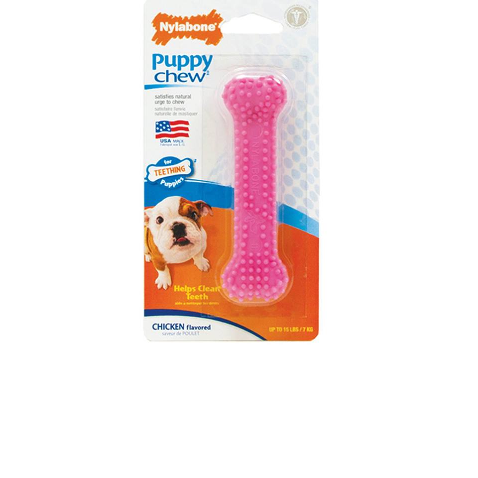 nylabone blue bone